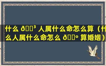 什么 🐳 人属什么命怎么算（什么人属什么命怎么 🌺 算婚姻）